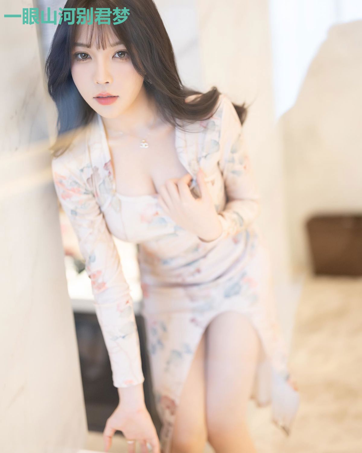 一眼山河别君梦