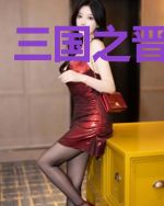 三国之晋雄天下