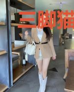 三脚猫功夫再嫁妻