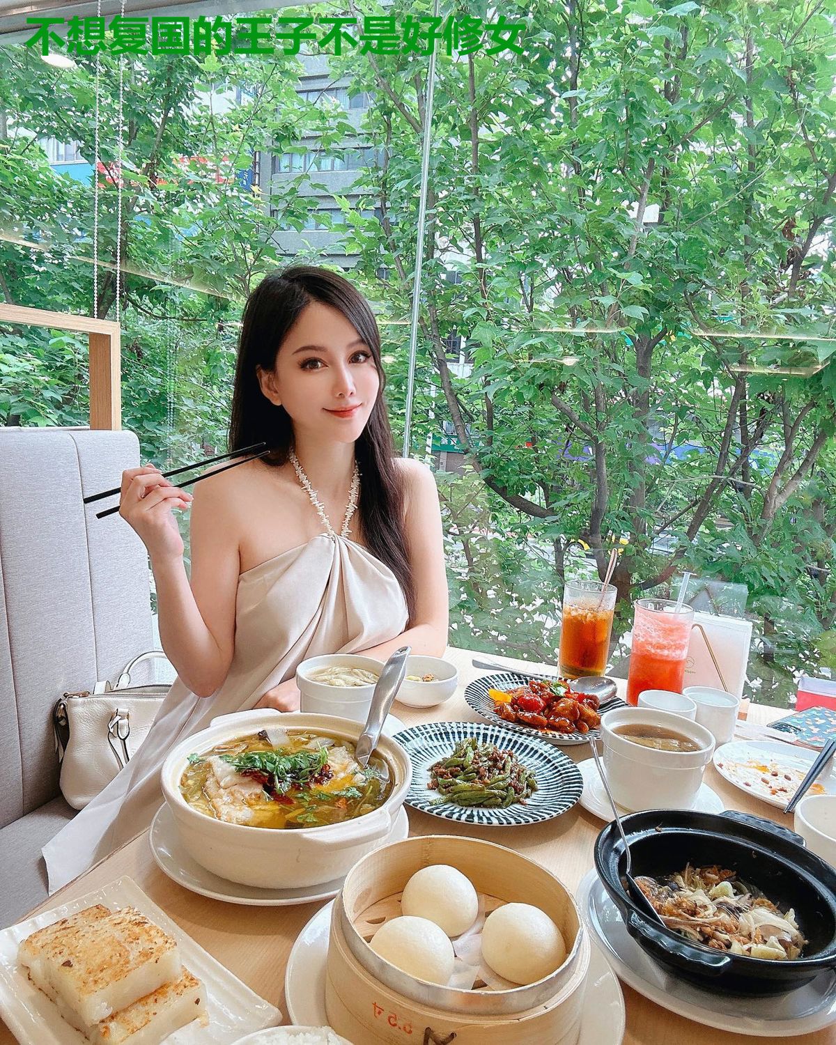 不想复国的王子不是好修女