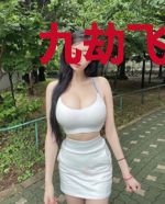 九劫飞升录