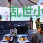 乱世小药铺