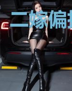 二嫁偏执太子