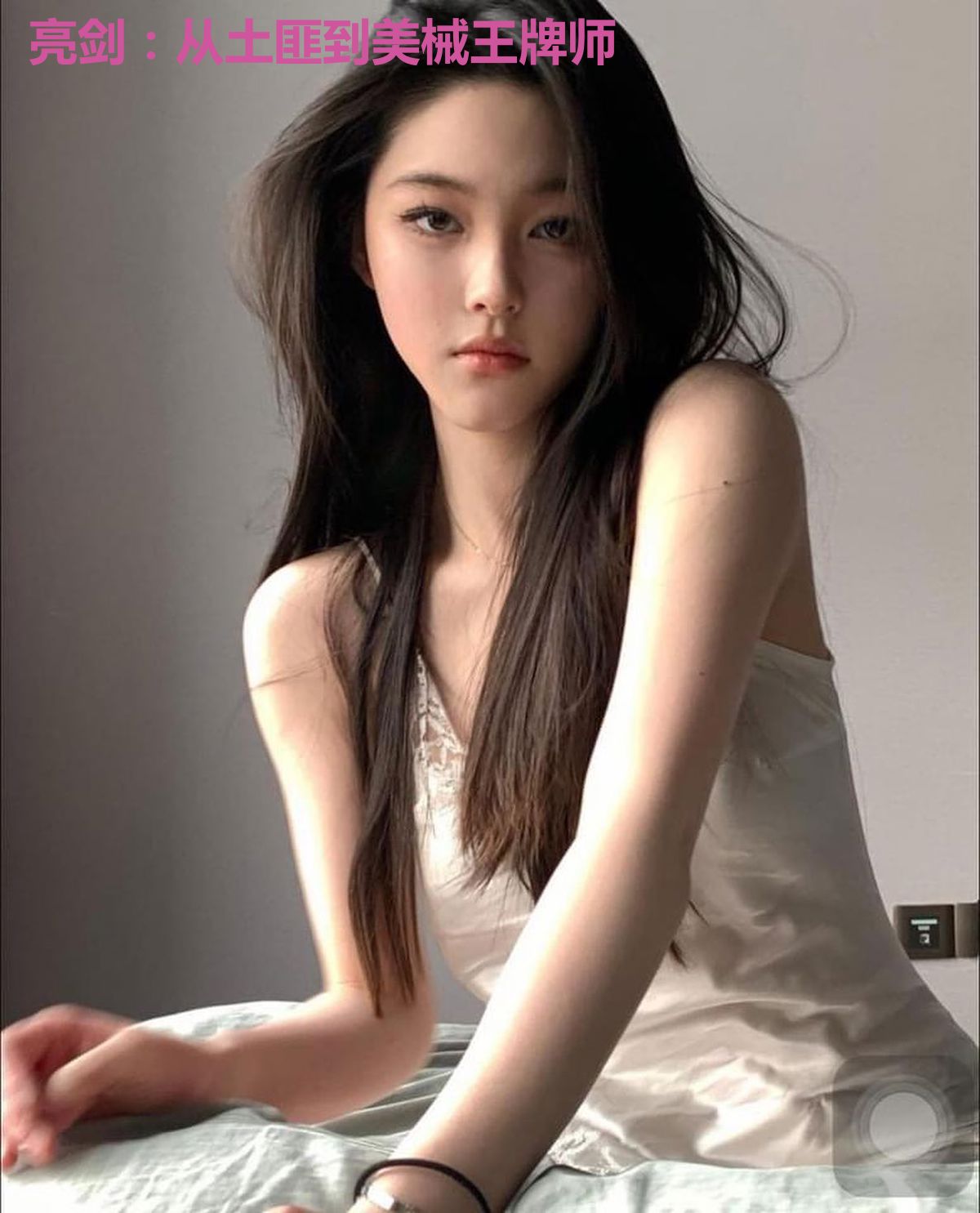 亮剑：从土匪到美械王牌师