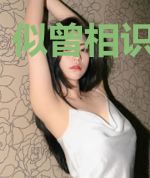 似曾相识月归来