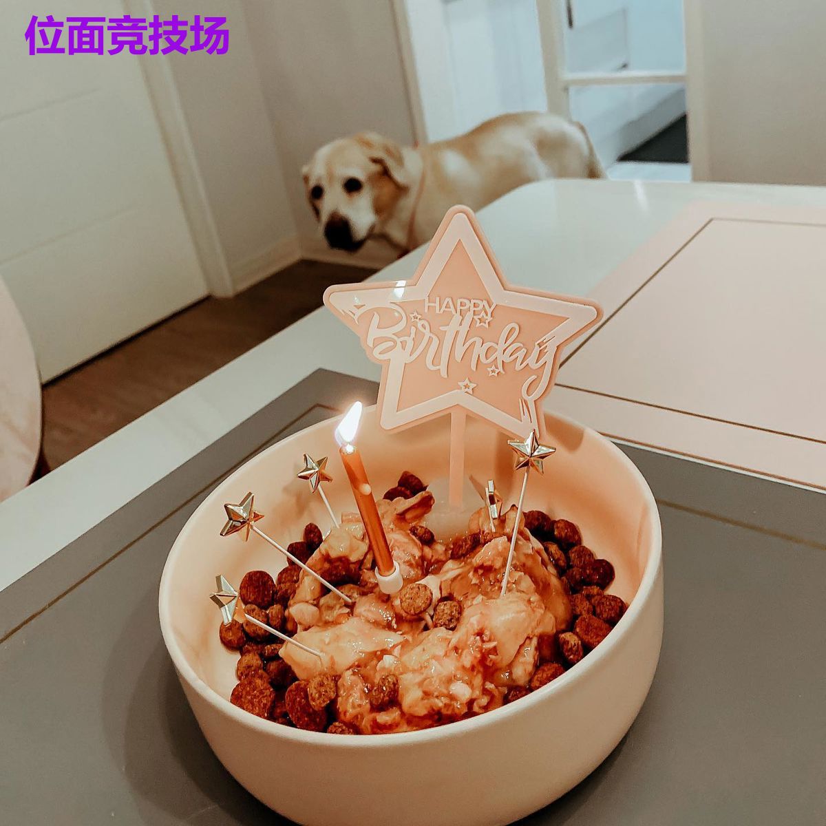 位面竞技场