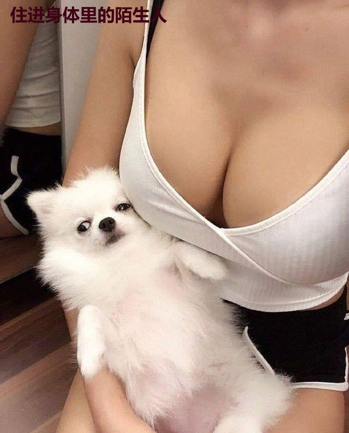 住进身体里的陌生人