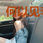 何以见李无中