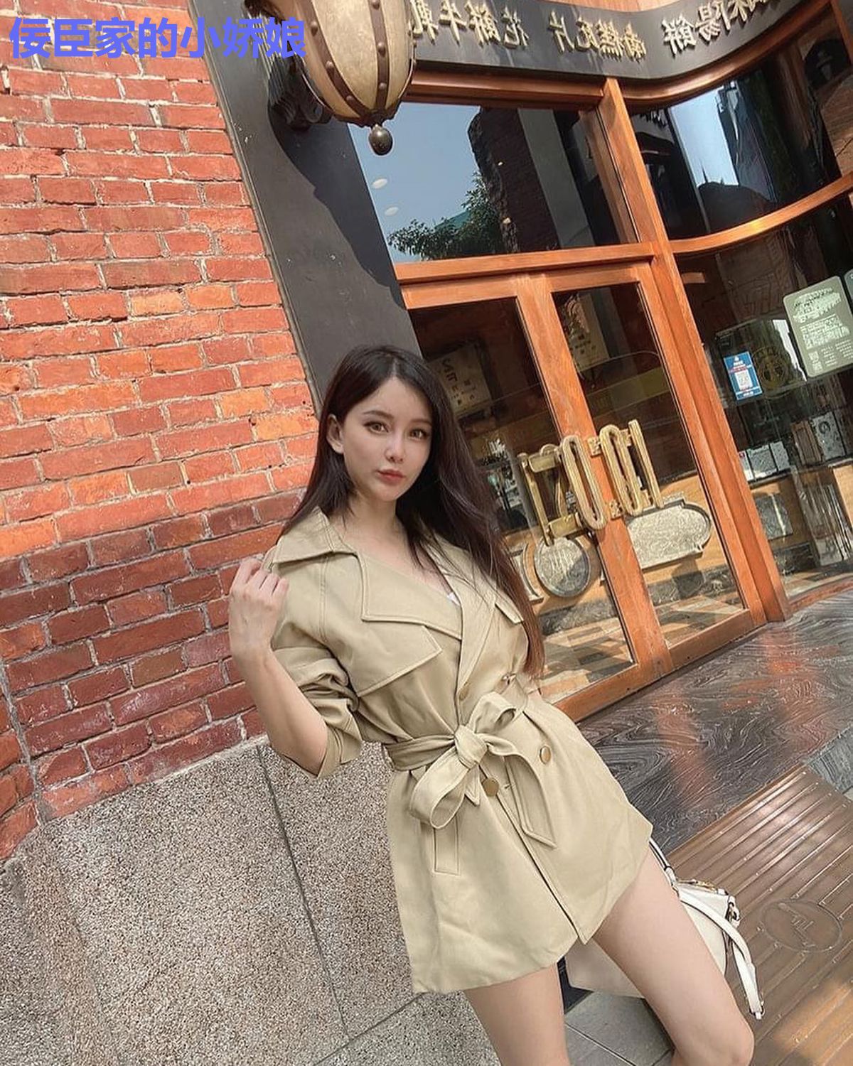 佞臣家的小娇娘