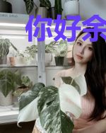 你好余生，夏时温暖