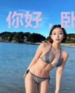 你好，卧底先生