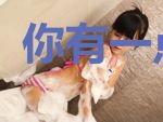 你有一点可爱