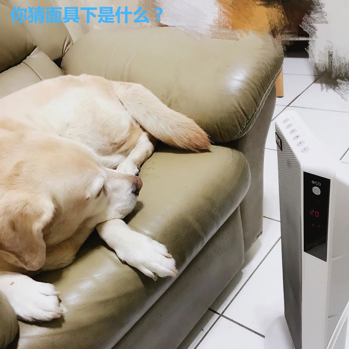 你猜面具下是什么？