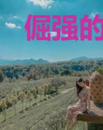 倔强的孩子