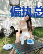偏执总裁娇宠萌妻