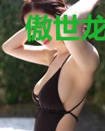 傲世龙魂叶辰南宫淑婉