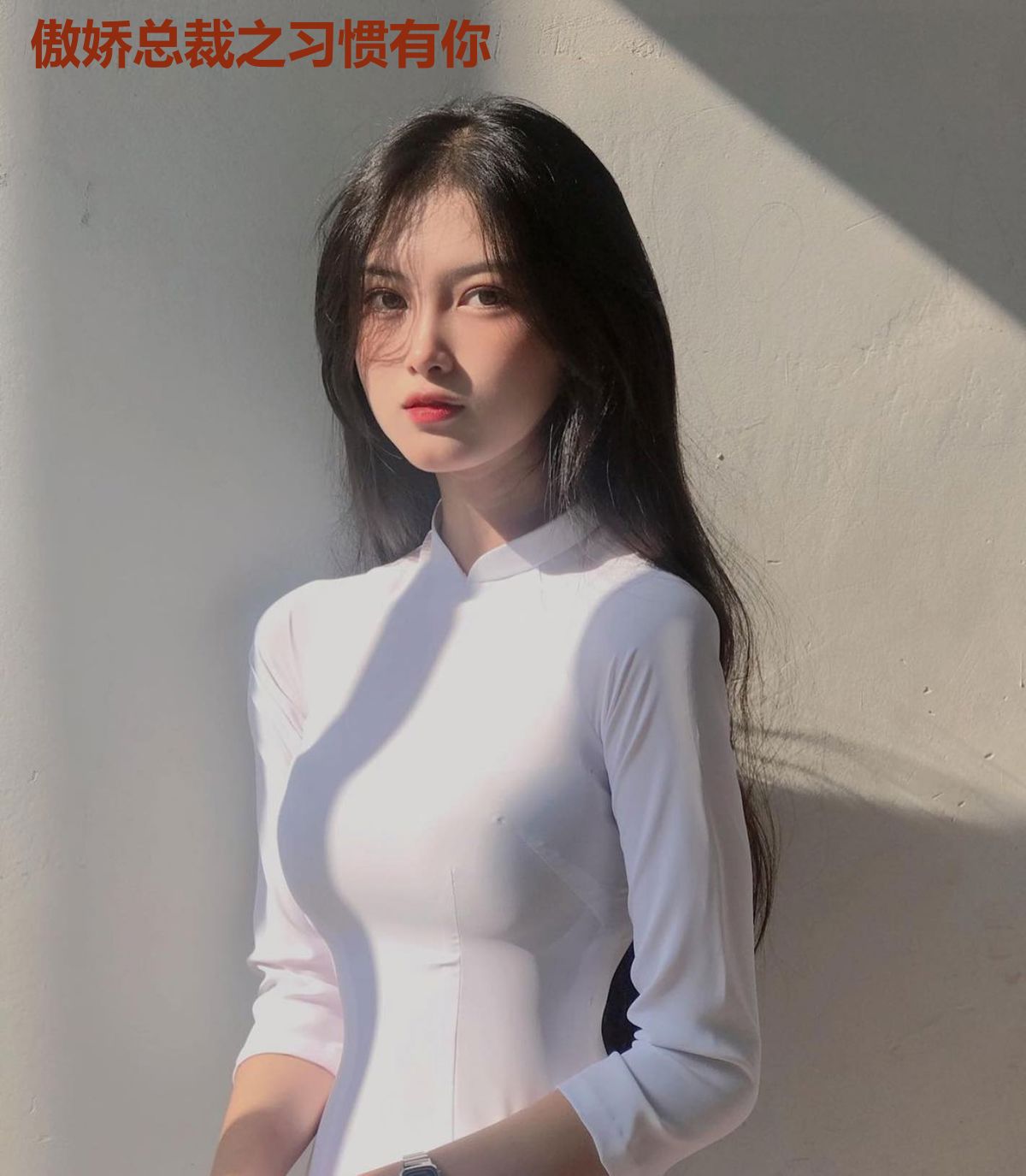 傲娇总裁之习惯有你