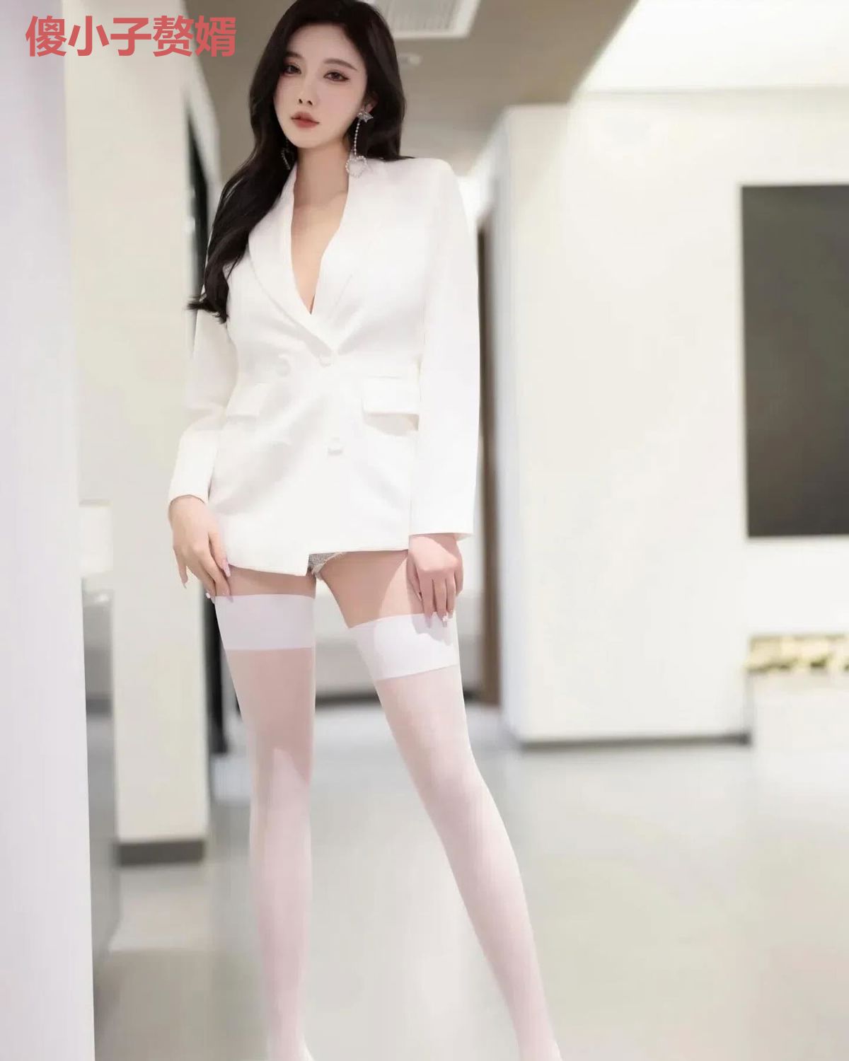 傻小子赘婿