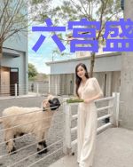 六宫盛宠：庶女为后