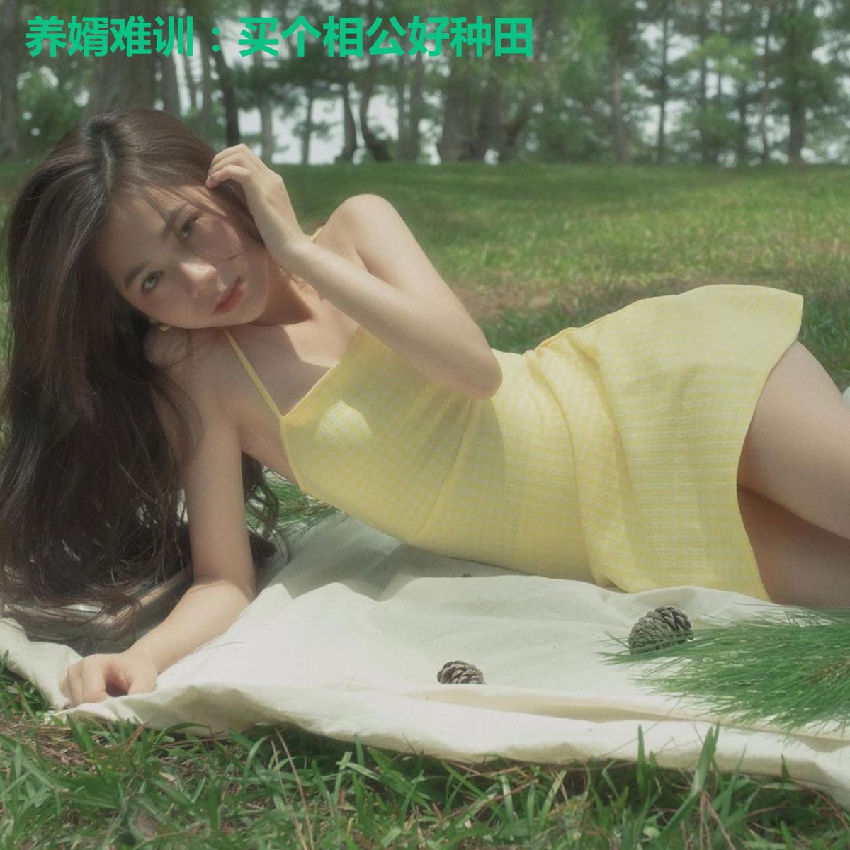 养婿难训：买个相公好种田