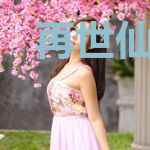 再世仙医宁飞柳紫萱