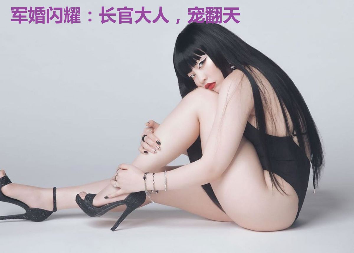 军婚闪耀：长官大人，宠翻天