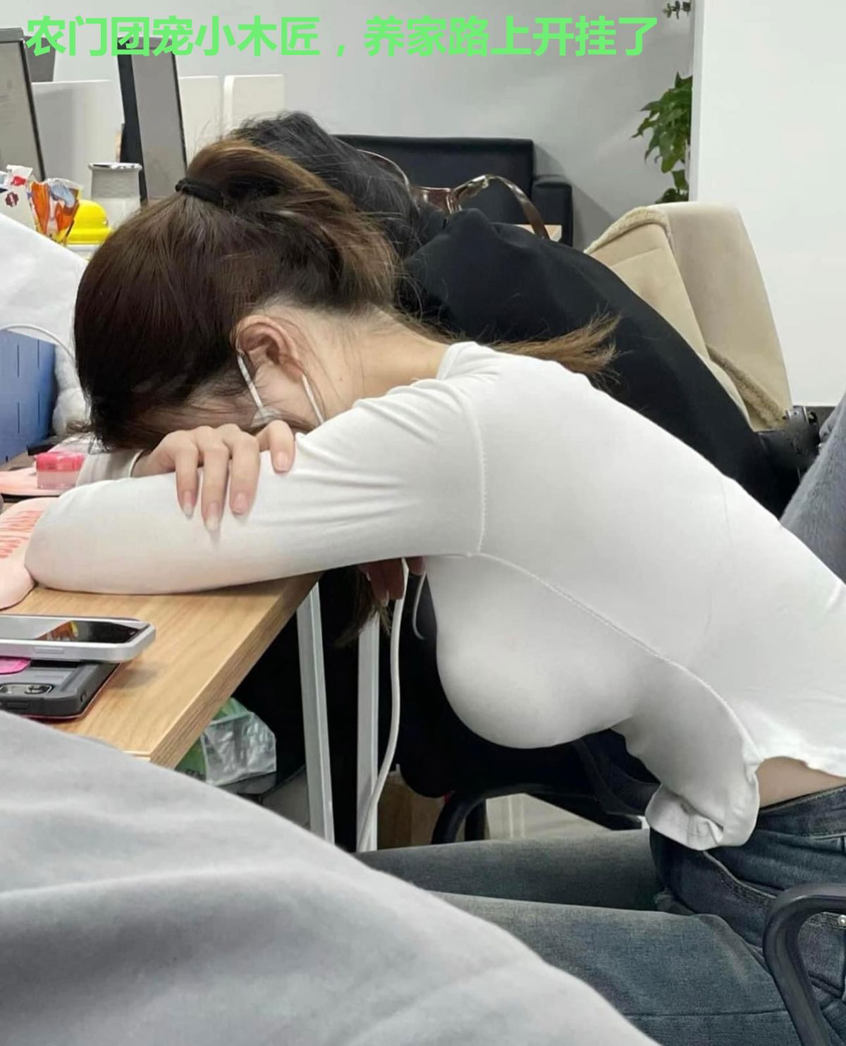 农门团宠小木匠，养家路上开挂了