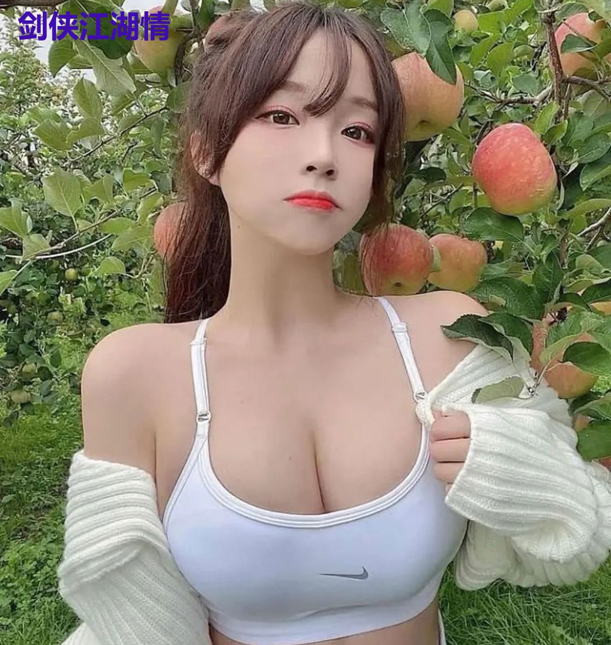 剑侠江湖情