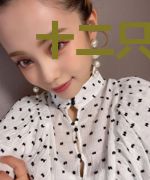 十二只老鼠在庭箱中