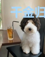 千金归来：boss，请矜持