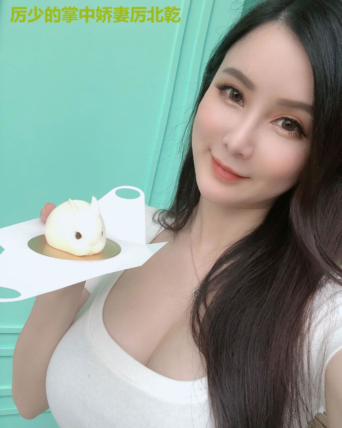 厉少的掌中娇妻厉北乾
