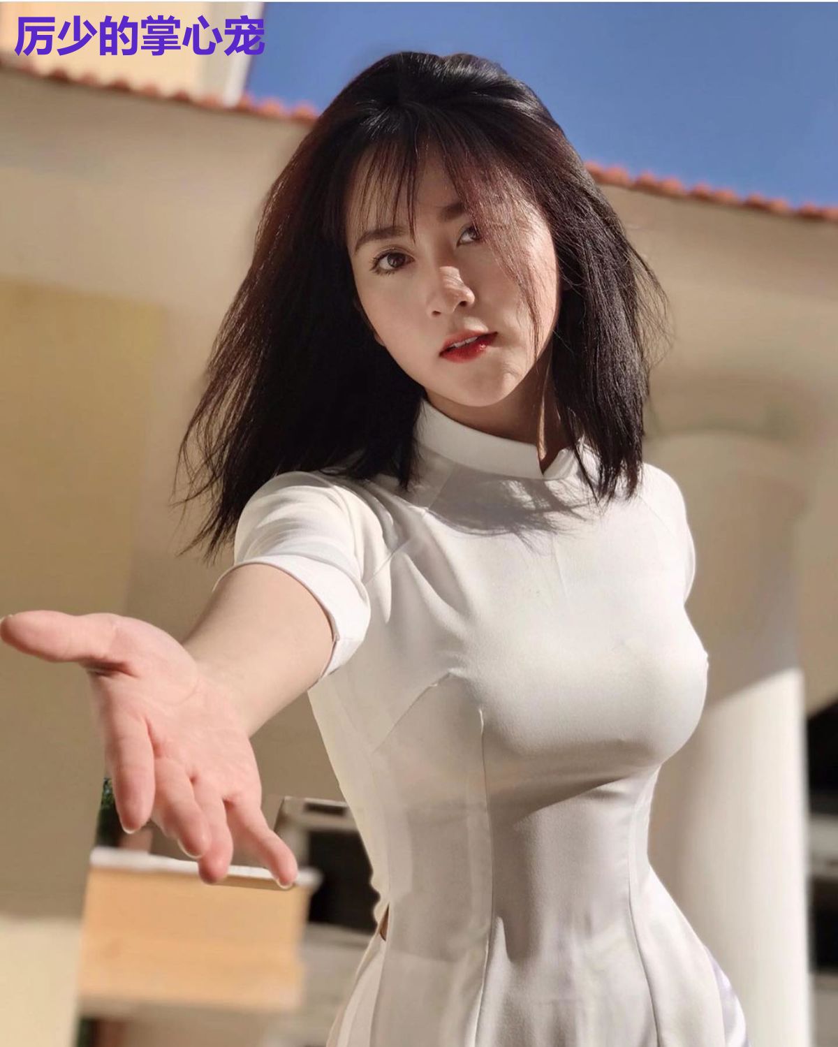 厉少的掌心宠