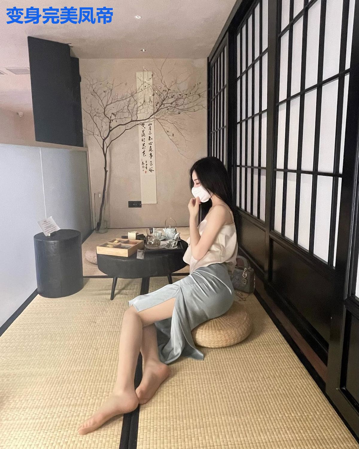 变身完美凤帝