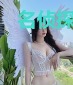 名侦探之不科学警察