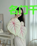 名门千金惹不得安薇薇