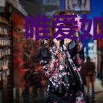 唯爱如梦倾我心陆少琛乔心梦