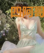 四阿哥咸鱼日常（清穿）