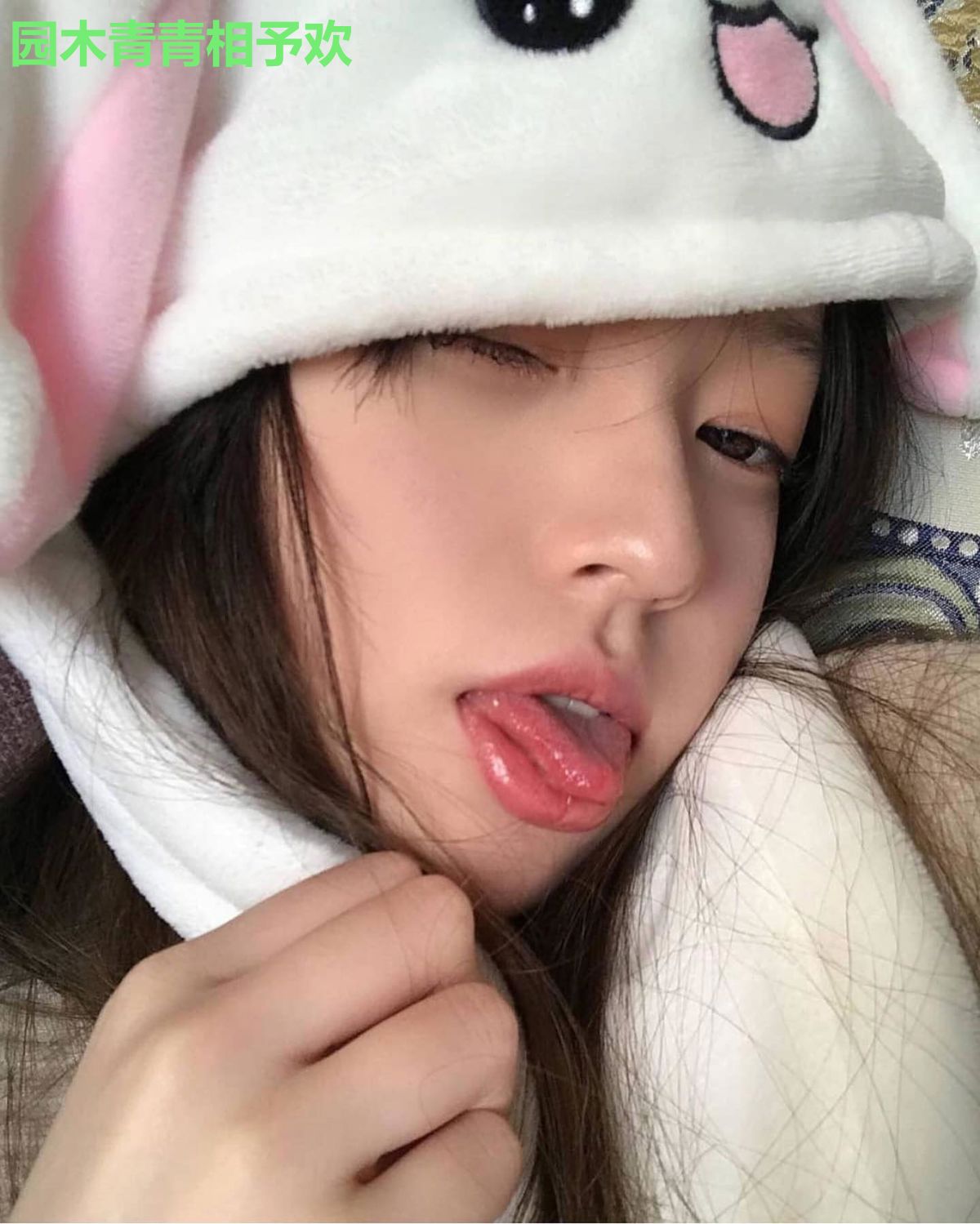 园木青青相予欢