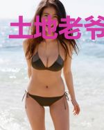 土地老爷不养猫