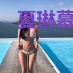 夏琳慕苍擎