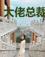 大佬总裁非要宠