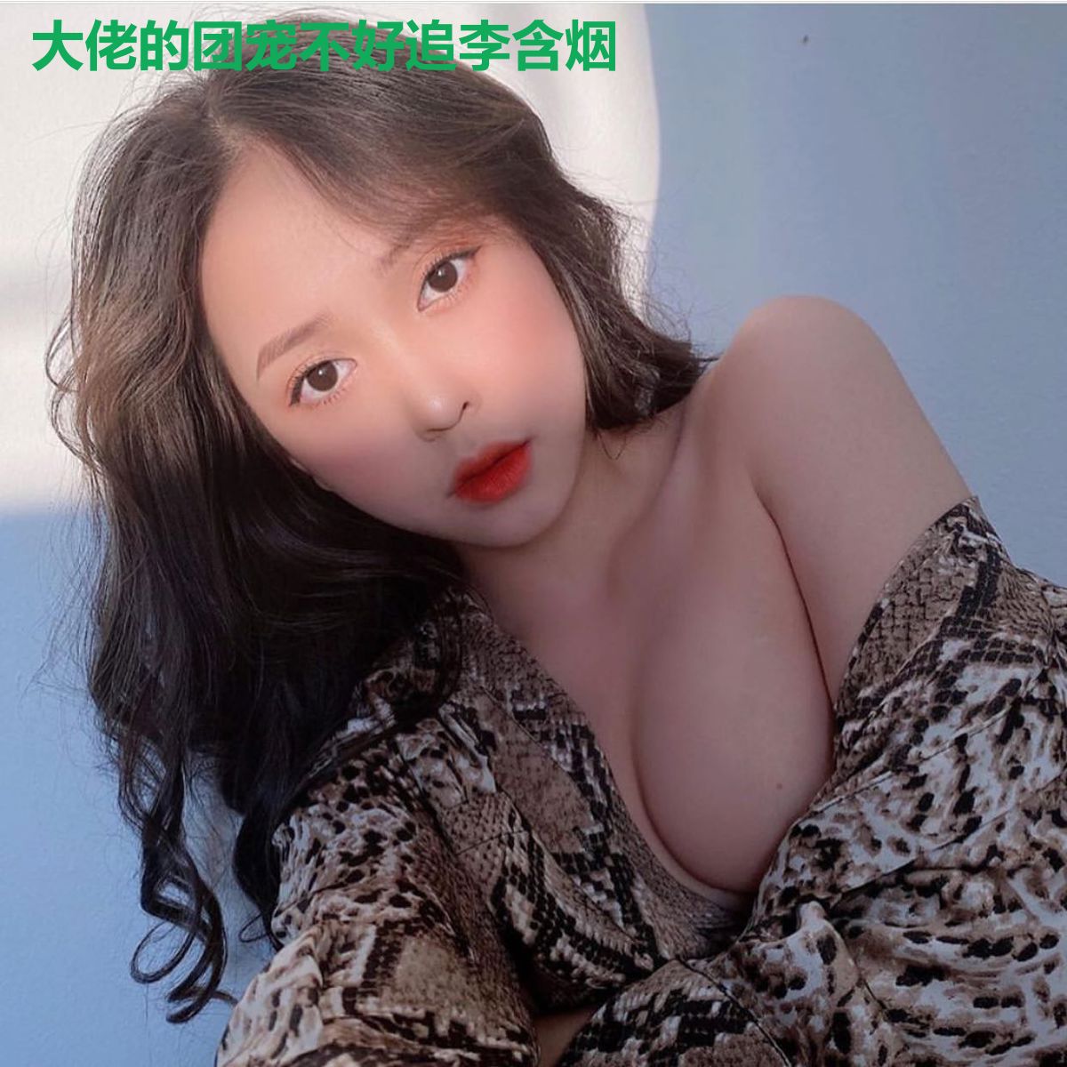大佬的团宠不好追李含烟