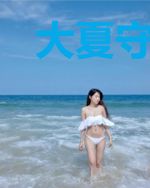 大夏守城人