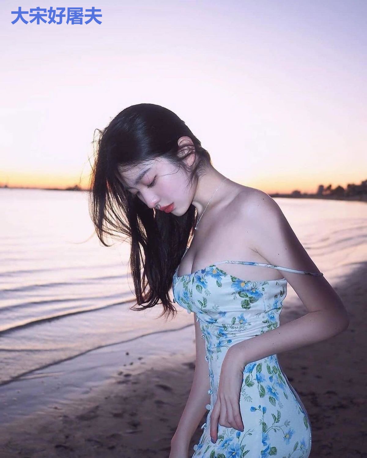 大宋好屠夫