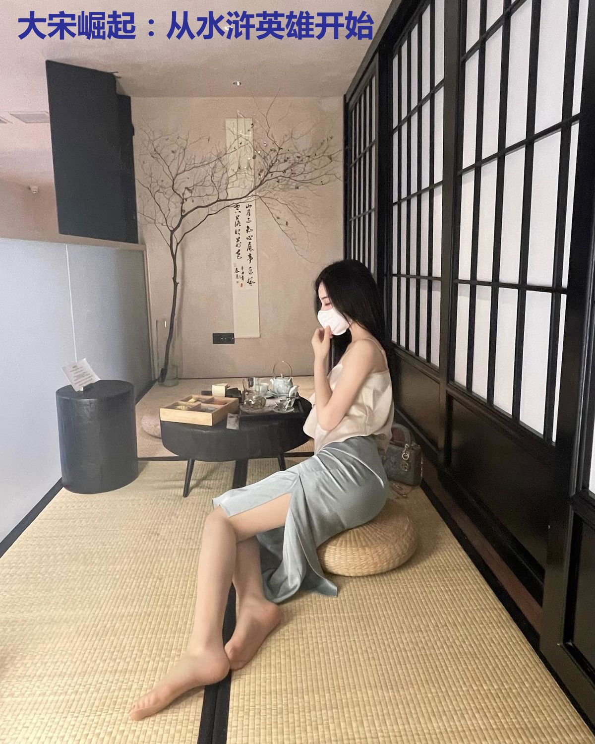 大宋崛起：从水浒英雄开始