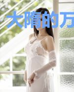大隋的万界远征