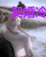 契婚冷爱：总裁请放手晟宿