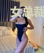 女总裁的贴身剑仙
