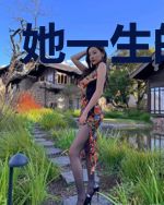 她一生的故事