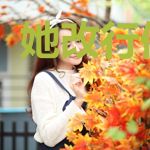 她改行修情了